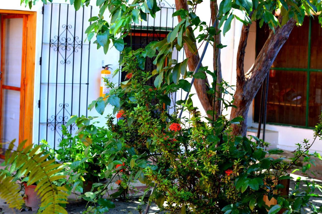 Casa Serrano - Callejon De Don Blas 4 Hab Canaguate Mompos Dış mekan fotoğraf